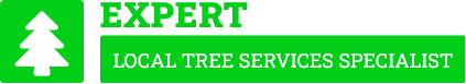 Rotorua Tree Services - Tree Removal Rotorua